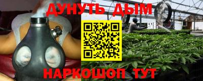стафф Бийск